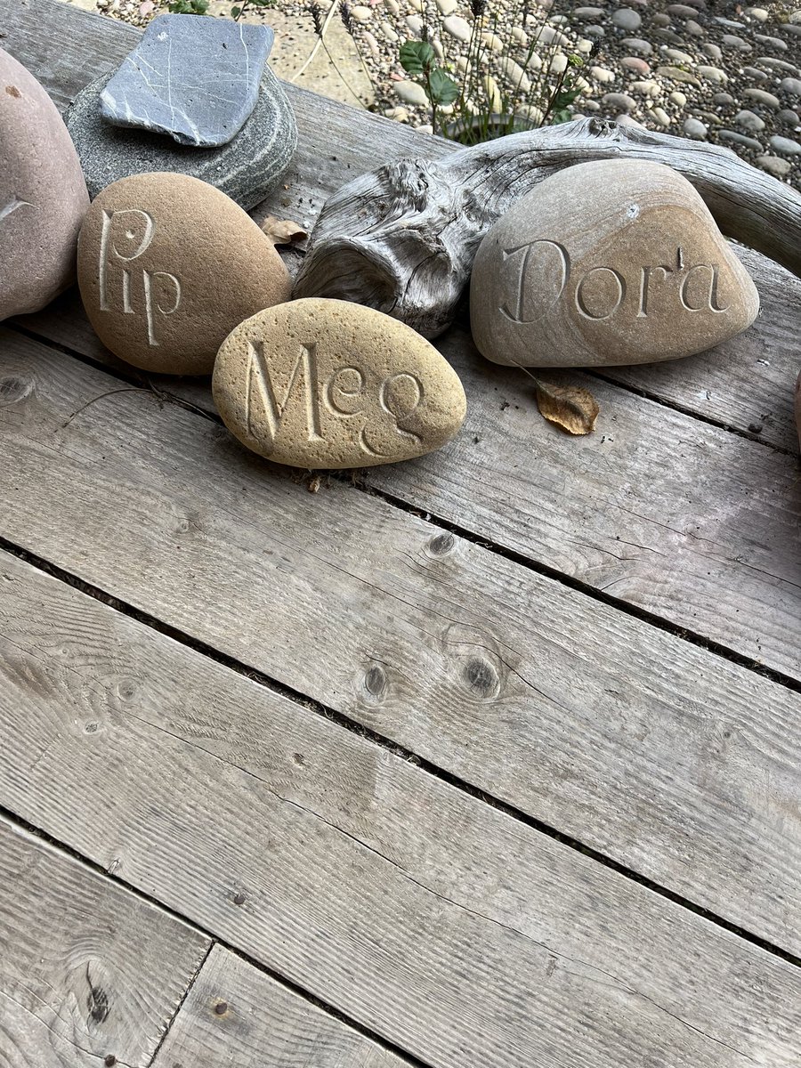 Dr Tim Meek tweet media