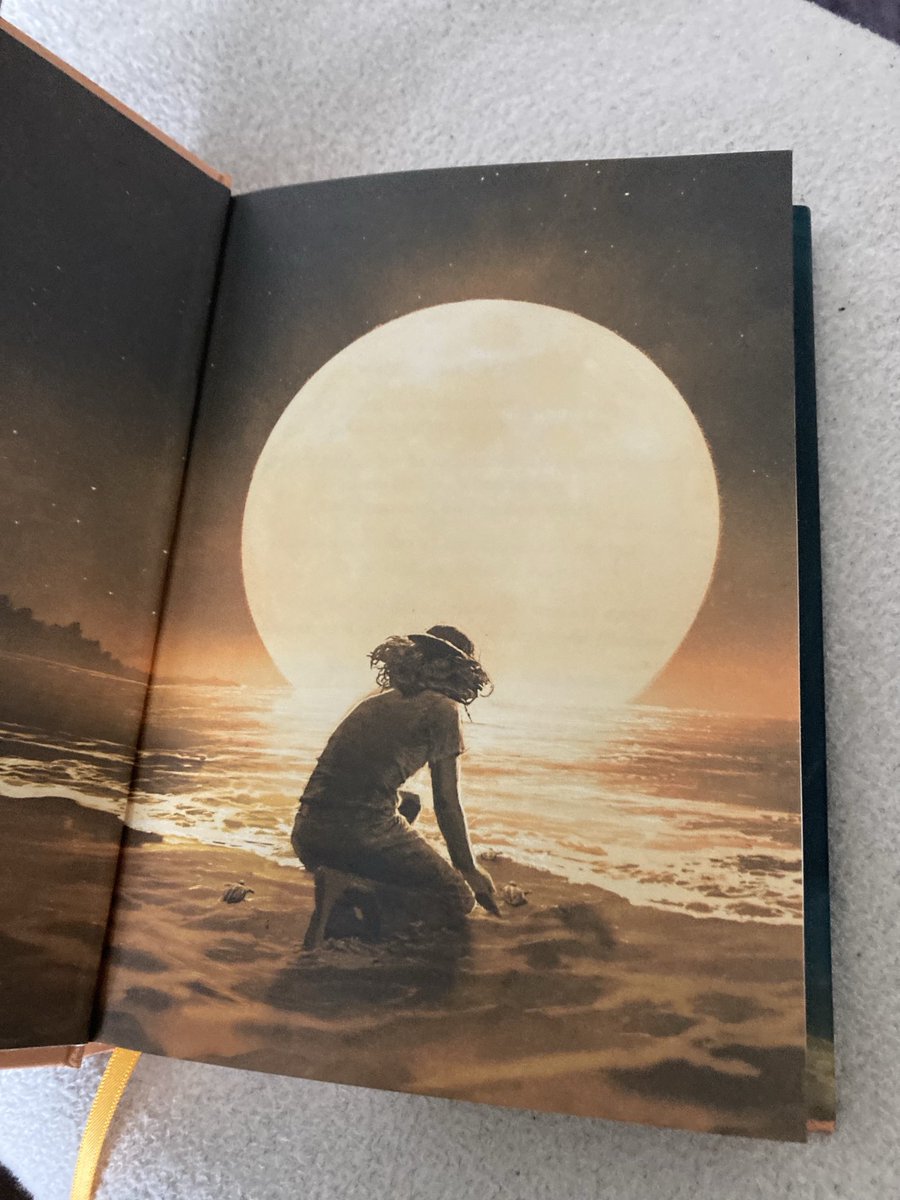 fionamsharp's tweet photo. Purchased yesterday. My plan for this evening. ⁦@HGold_author⁩ ⁦@HarperCollinsCh⁩ ⁦@HarperInsider⁩ #TurtleMoon https://t.co/nlVyNNsPAm