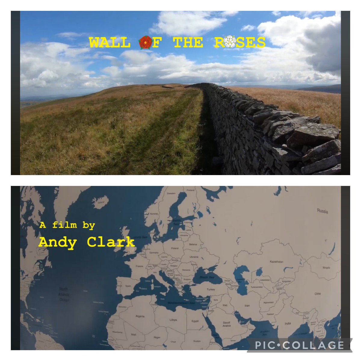 tigersue66 tweet media