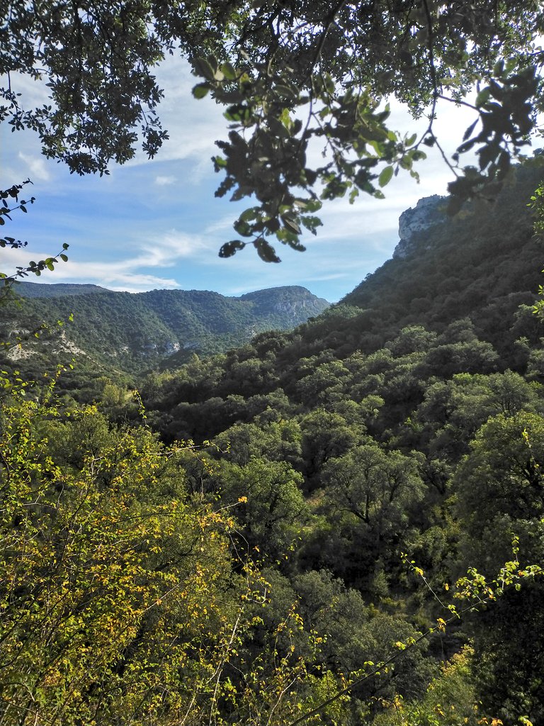 e13sirio's tweet photo. #Basaula #Lokiz #TrasLasHuellasDeILO #Navarra
En la espesura del encinar se abren ventanas para contemplar la enorme belleza que guarda este txoko desde el que se contemplan las estribaciones meridionales de #Urbasa https://t.co/ol4qstruM6