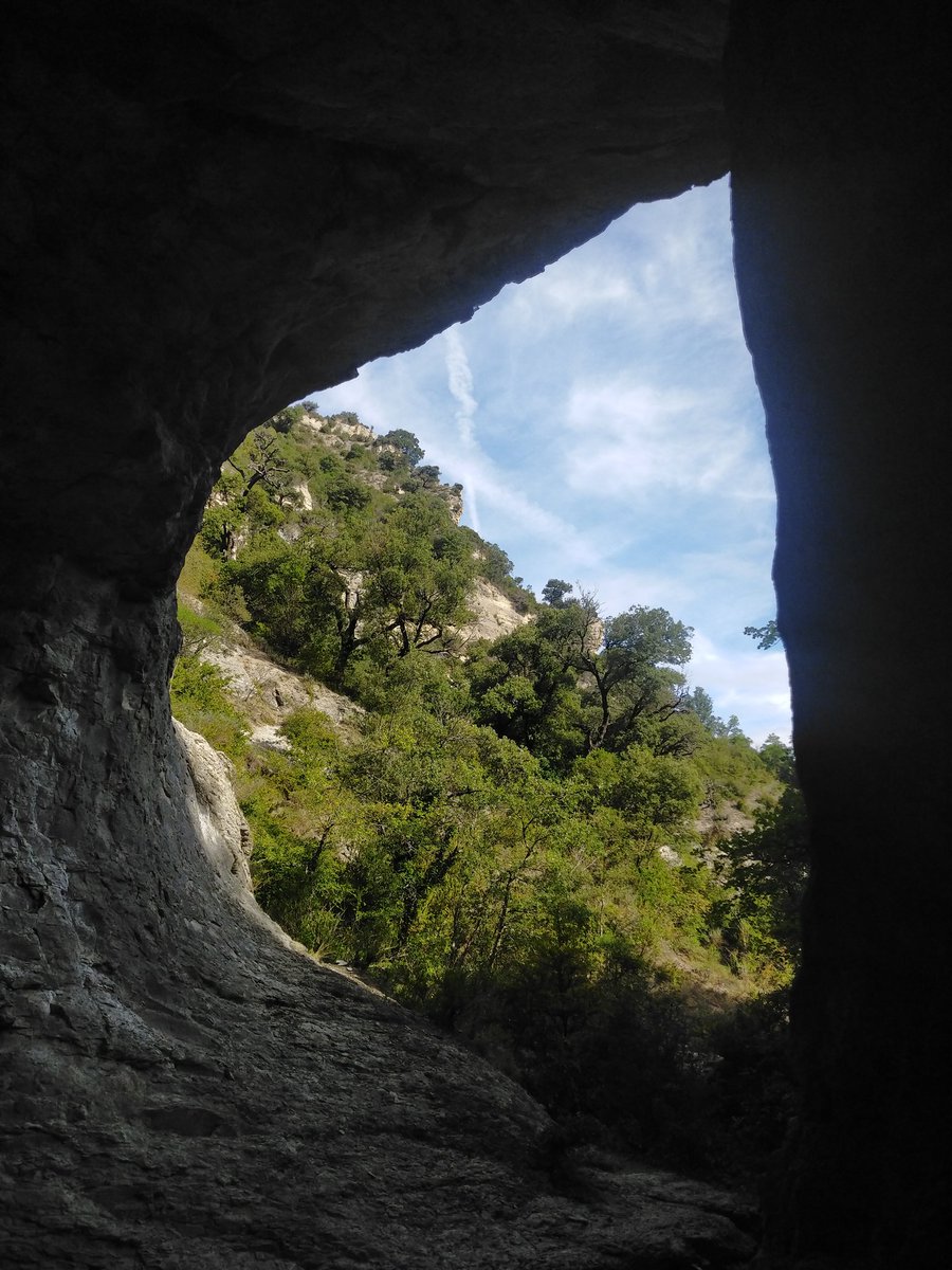 e13sirio's tweet photo. #Basaula #Lokiz #TrasLasHuellasDeILO #Navarra
En la espesura del encinar se abren ventanas para contemplar la enorme belleza que guarda este txoko desde el que se contemplan las estribaciones meridionales de #Urbasa https://t.co/ol4qstruM6