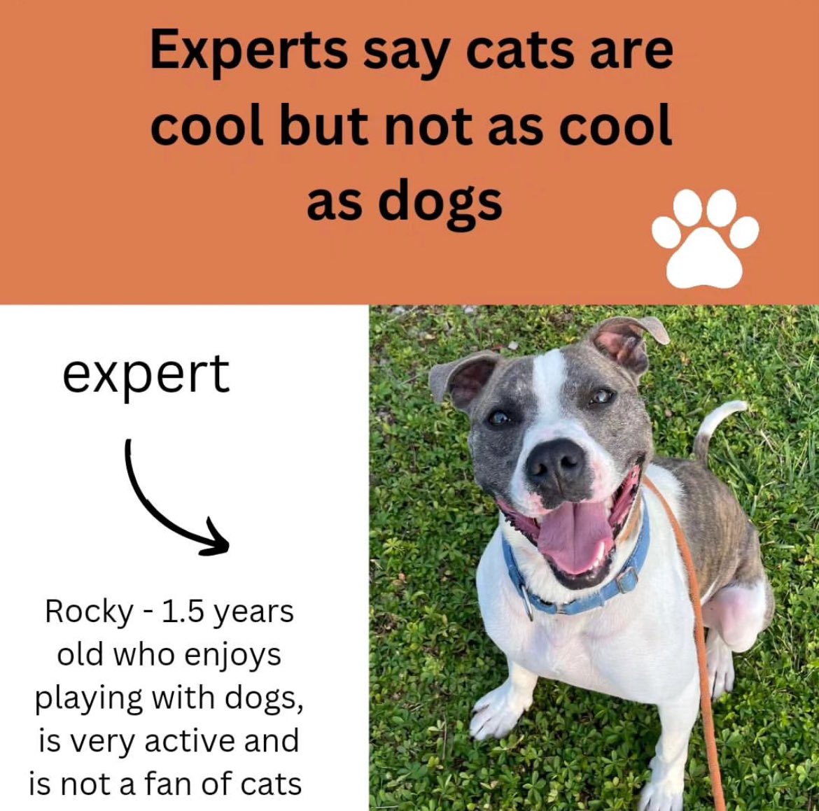 K9CollectiveOh's tweet photo. https://t.co/tbtPuP5JSL