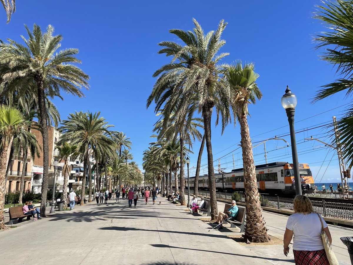 📸 fetes avui a:
Vilassar M. • Premià M. • el Masnou • Badalona

4 poblacions similars: mar-tren-nucli històric.

Vinc a demostrar que l'impacte que genera el tren és MOLT menor del que ho fa una carretera. Només cal comparar Badalona amb la resta. 

👭👬👨‍👩‍👦‍👦👩‍👩‍👧‍👧 🚊 vs. 🧍🏽🚗🚛🚙🚊