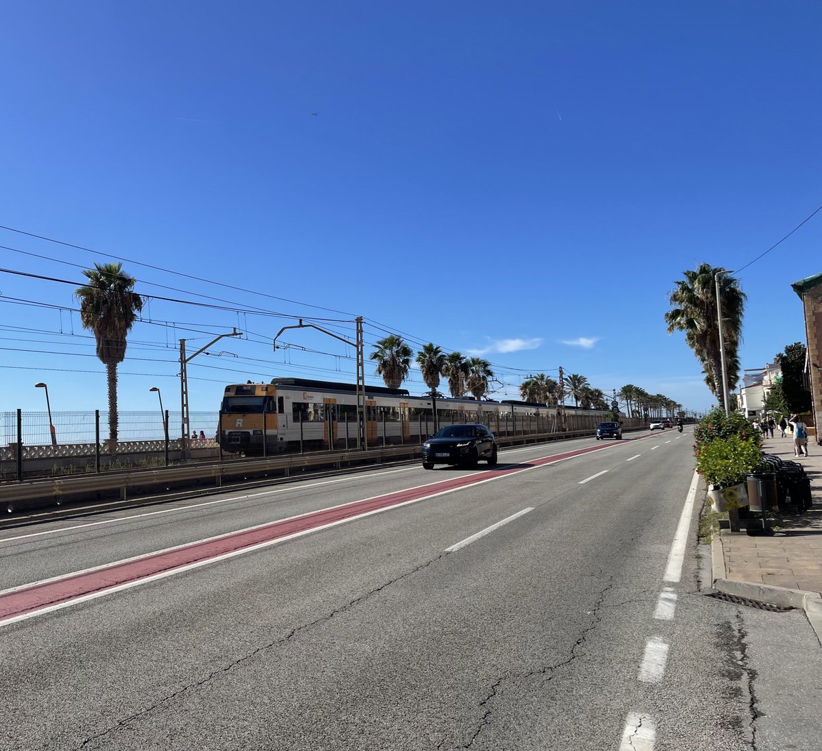 Josep Maria Olivé tweet media