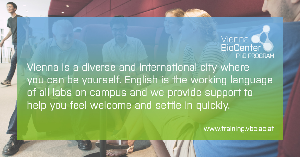 TrainingVbc's tweet photo. In Vienna English is widely spoken making it a great place to do a PhD! We have 25+ fully funded positions in our call with openings for MSc students.  Deadline: 15 October 2024.
https://t.co/6NagYSRxHv
@IMPvienna @IMBA_Vienna @gmivienna @MaxPerutzLabs @univienna @MedUni_Wien https://t.co/PVgH7MNbFa