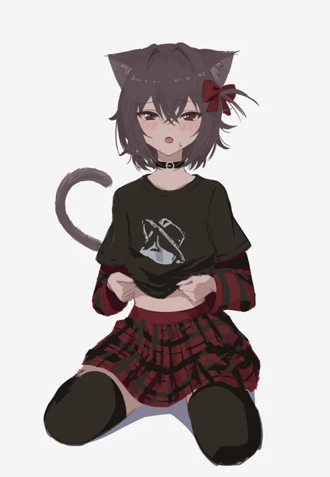 最近のヌコ
