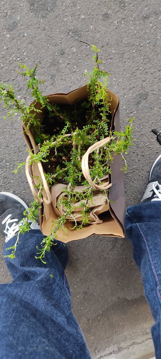 紙コップ tweet media