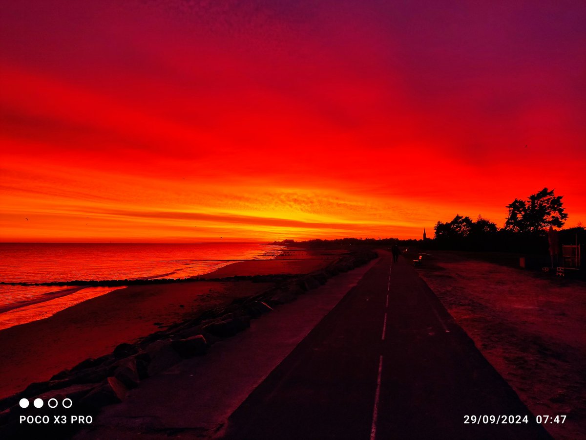 lt Aldo crypto tweet media