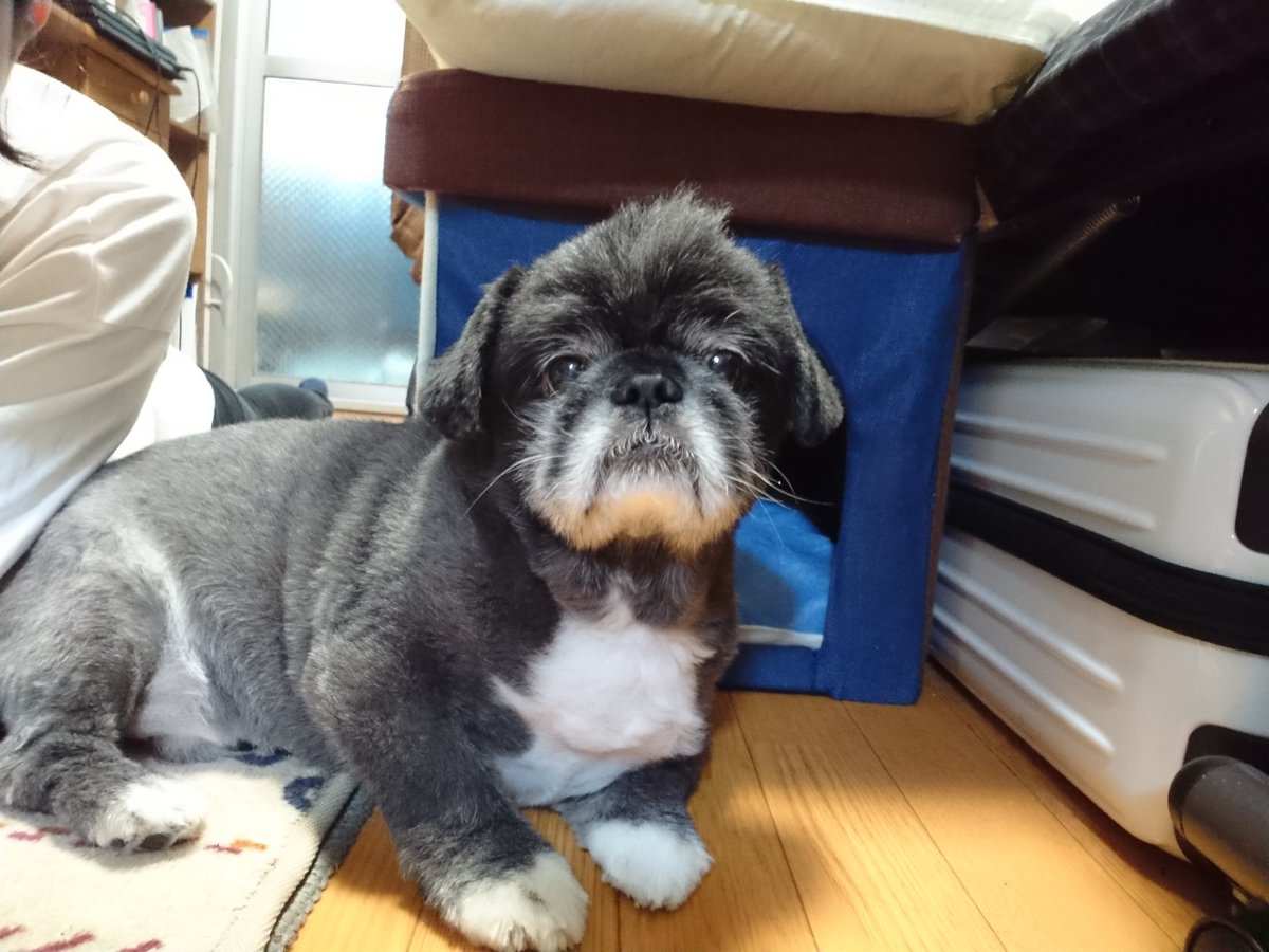 kjr_only's tweet photo. むちりちらかしてても、可愛いんだよね https://t.co/BDCsJHqSZg