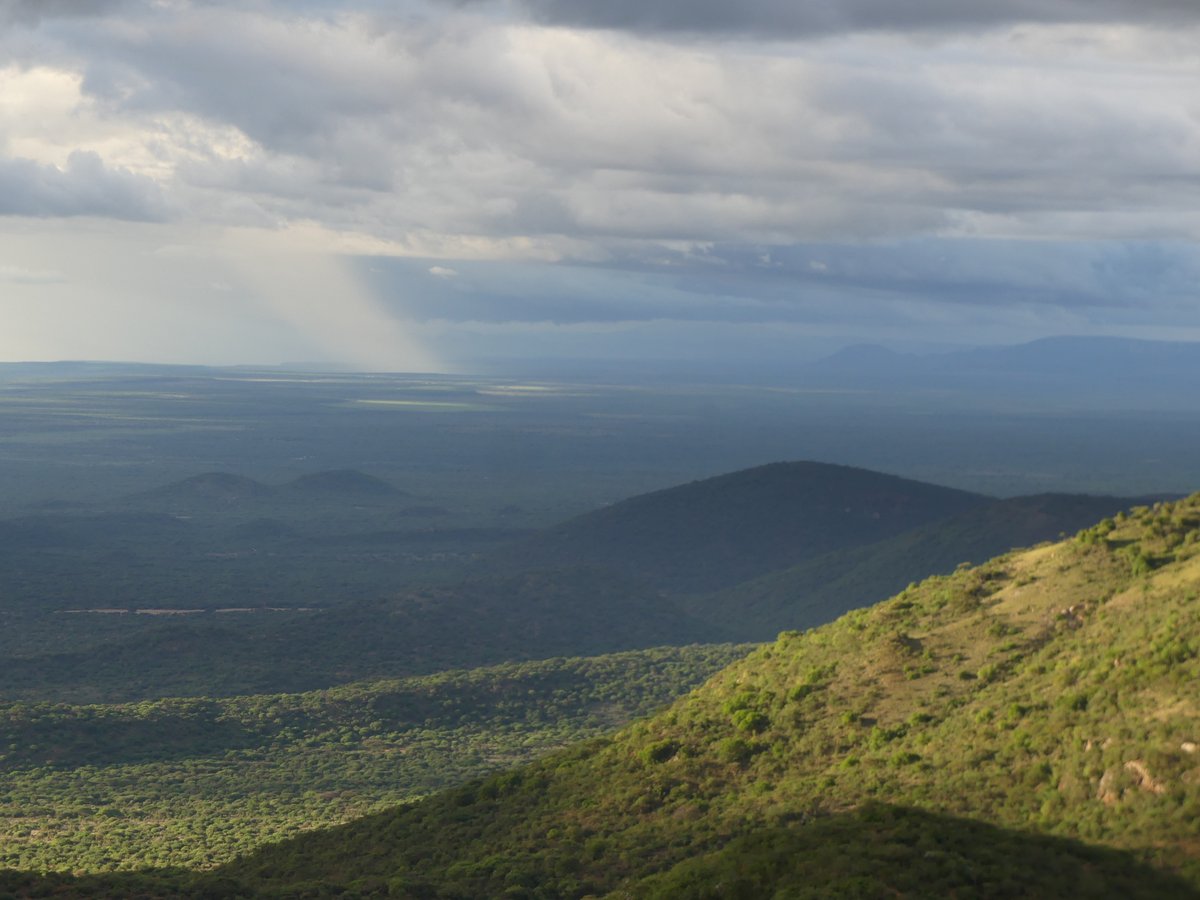 PhotosForTrees's tweet image. #KajiadoCounty