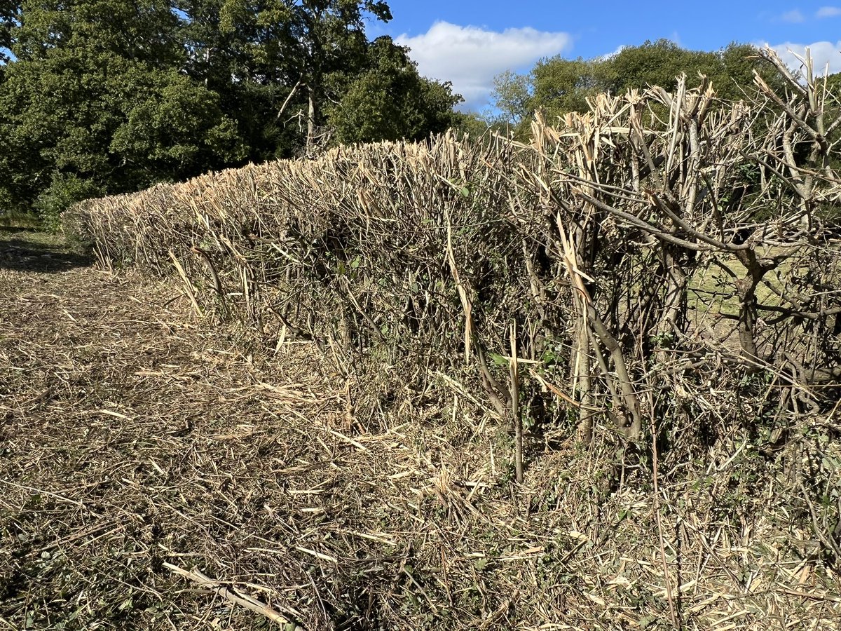 Chris Packham (@chrisgpackham) on Twitter photo Massive thanks from all the Redwings , Fieldfares , other thrushes and finches , maybe even Waxwings , to this considerate ‘custodian of the countryside’ . No berries on here this winter . . . But don’t worry , our farmland birds are not in critical decline <a href="/NFUtweets/">National Farmers' Union</a> Massive thanks from all the Redwings , Fieldfares , other thrushes and finches , maybe even Waxwings , to this considerate ‘custodian of the countryside’ . No berries on here this winter . . . But don’t worry , our farmland birds are not in critical decline <a href="/NFUtweets/">National Farmers' Union</a>