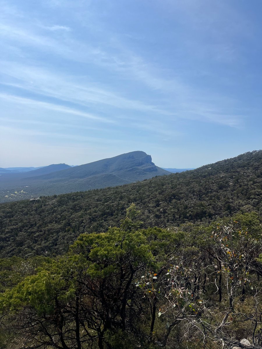 Western Victoria is the best. Not as good as Robe, but up there.