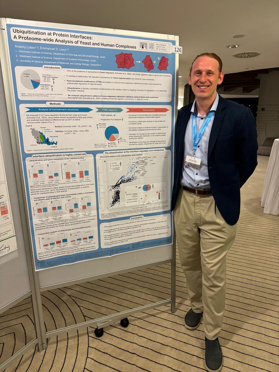 Arseniy Lobov (@arseniylobov) on Twitter photo I was happy to present our project with <a href="/ElevyLab/">elevyLab</a> in #EMBOubiquitin24. Mapping known ubiquitination sites on thousands of homodimeric structures, we uncovered hundreds of yeast and human proteins whose oligomeric state is regulated by ubiquitination. #PTMs #homodimers #AlphaFold I was happy to present our project with <a href="/ElevyLab/">elevyLab</a> in #EMBOubiquitin24. Mapping known ubiquitination sites on thousands of homodimeric structures, we uncovered hundreds of yeast and human proteins whose oligomeric state is regulated by ubiquitination. #PTMs #homodimers #AlphaFold