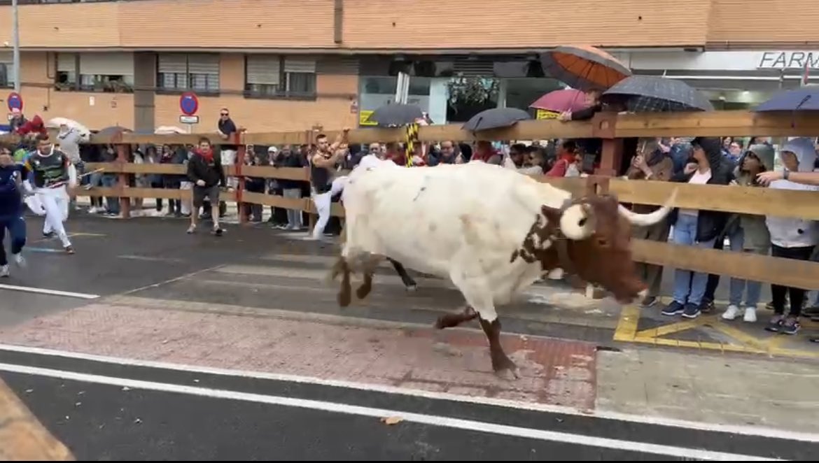 ANTONIO39R's tweet photo. La Tauromaquia forma parte de nuestro patrimonio cultural. Gracias a las #Peñas de #Majadahonda por fomentarlo y protegerlo, y al @MajadahondaAyto por permitirnos disfrutarlo.
#Tauromaquia #Liberad #Tradición #Cultura #laalbarda #LaMajada #victorTallón https://t.co/ykfQZfCrr6