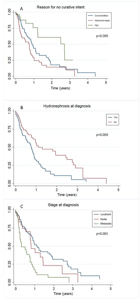 Félix Guerrero-Ramos (@drfelixguerrero) on Twitter photo 🚨Just published at <a href="/Cancers_MDPI/">Cancers MDPI</a>
📉#MIBC unsuitable for curative options: poor survival & underserved population 🟰 HIGH UNMET NEED!
🪦OS < 1 year
👓Take a look: t.ly/oq155
<a href="/Urologia12/">Department of Urology, Hospital 12 De Octubre</a> <a href="/Daniel_Urologia/">Daniel A. González-Padilla</a> <a href="/rojo_esther/">Esther Garcia Rojo</a> <a href="/cgdelcanizo/">Cgdelcanizo</a> <a href="/MarioHArroyo/">Mario Hernández Arroyo</a> <a href="/MDPIOpenAccess/">MDPI</a> <a href="/GUOaeu/">GUO-AEU</a> 🚨Just published at <a href="/Cancers_MDPI/">Cancers MDPI</a>
📉#MIBC unsuitable for curative options: poor survival & underserved population 🟰 HIGH UNMET NEED!
🪦OS < 1 year
👓Take a look: t.ly/oq155
<a href="/Urologia12/">Department of Urology, Hospital 12 De Octubre</a> <a href="/Daniel_Urologia/">Daniel A. González-Padilla</a> <a href="/rojo_esther/">Esther Garcia Rojo</a> <a href="/cgdelcanizo/">Cgdelcanizo</a> <a href="/MarioHArroyo/">Mario Hernández Arroyo</a> <a href="/MDPIOpenAccess/">MDPI</a> <a href="/GUOaeu/">GUO-AEU</a>