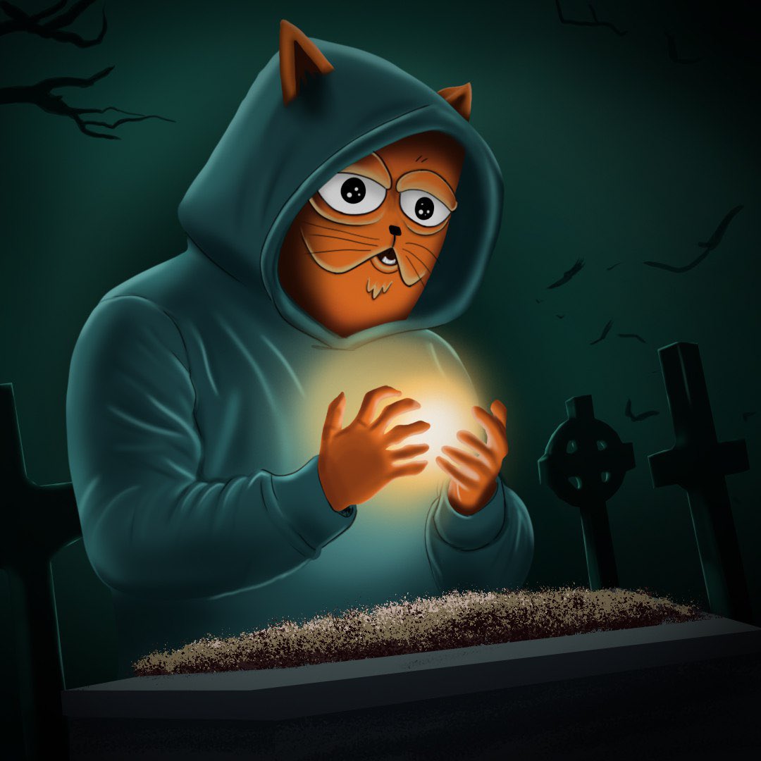 meowisonsol's tweet photo. @Regrets10x Bullish $MEOW community
Grinding on pump to send 
17% locked 
Dex paid 
CA: FqPfBWjTSehaTYr6FdifvvrW32xbsUpHpnRcQShPpump https://t.co/4BOUCFQQ0z