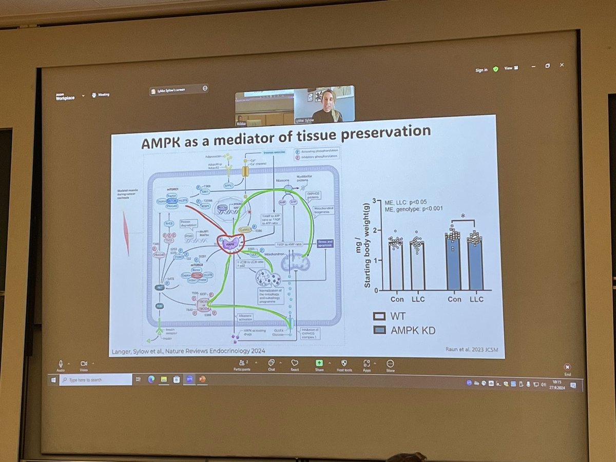One of the highlights from <a href="/JYUBiolPA/">Biology of Physical Activity</a>  symposium- <a href="/LykkeSylow/">Lykke Sylow</a> on how exercise benefits cancer patients! 🤩🤩🤩