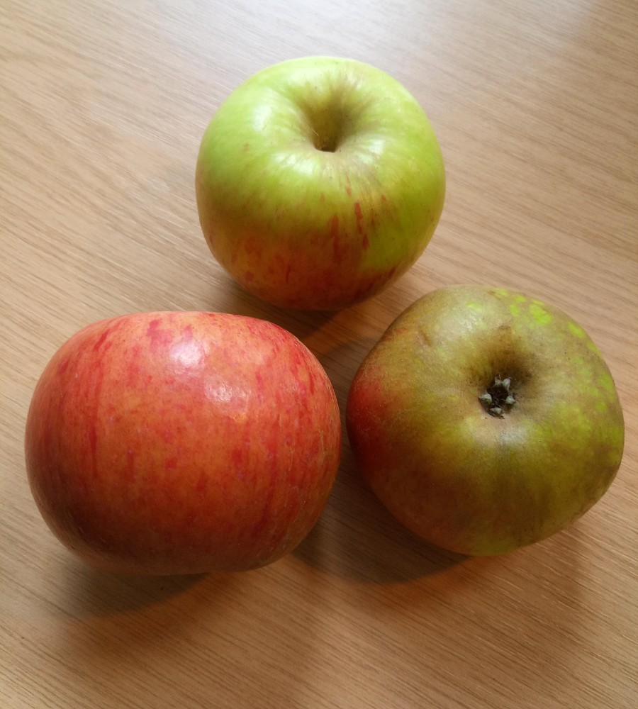 Orchard Notes tweet media