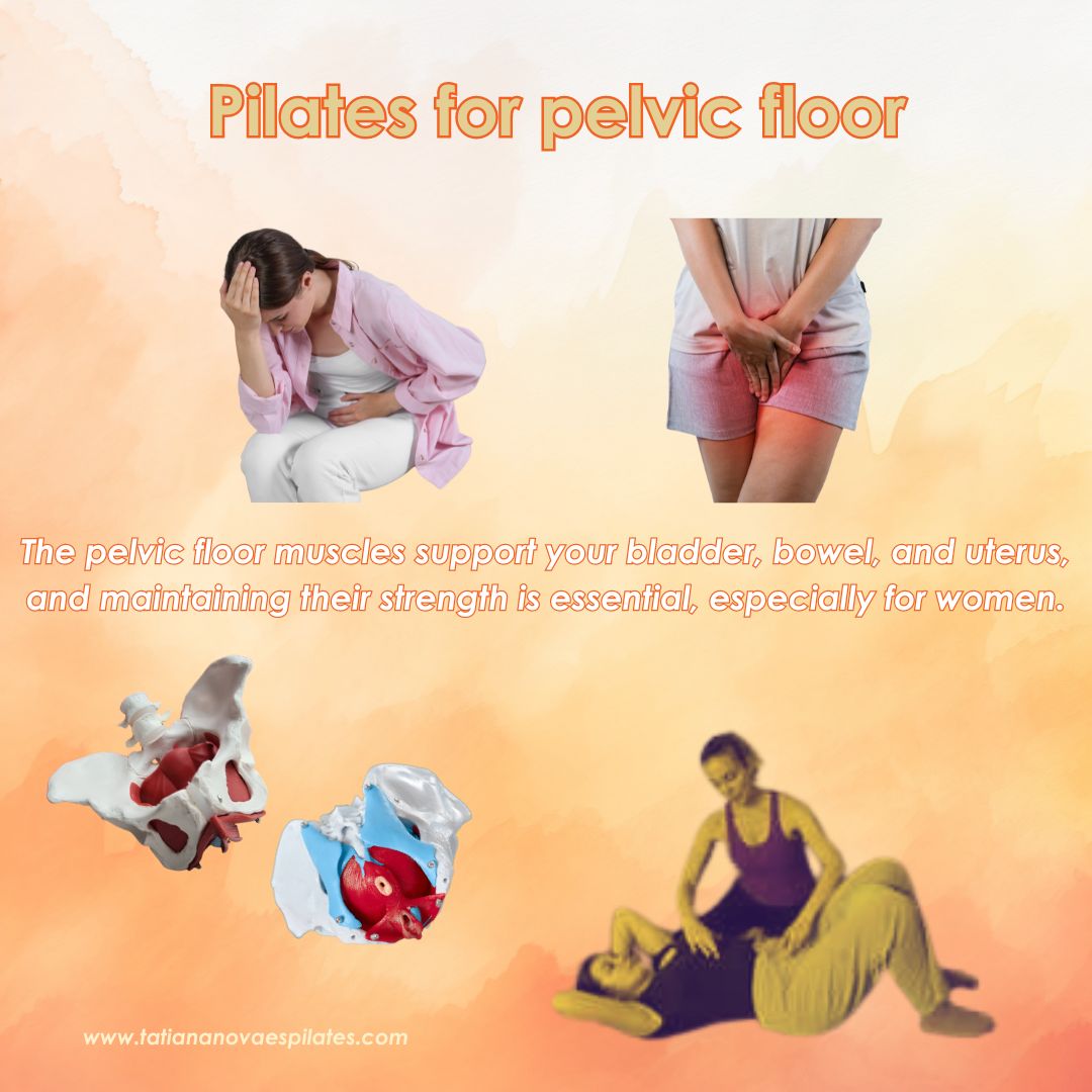 tnovaescoelho's tweet image. Did you know that Pilates is one of the best ways to strengthen your pelvic floor? The pelvic floor muscles support your bladder, bowel, and uterus, and maintaining their strength is essential, especially for women.

#PilatesWithTatiana #PelvicFloorHealth #StrongCore