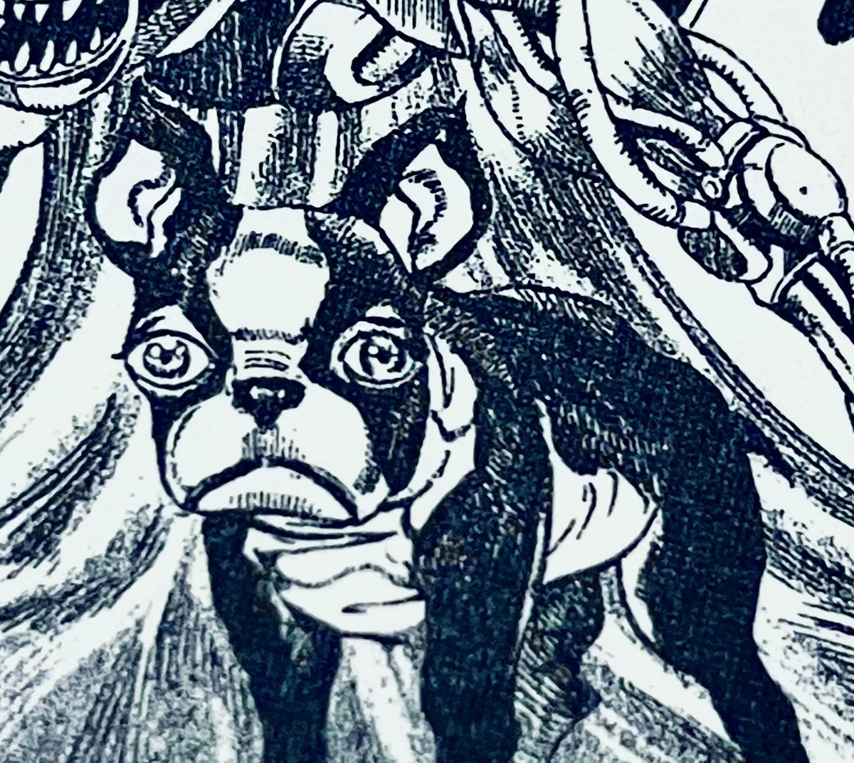 my brotha just another me… 💔

#idv #postmanidv #victorgrantz #jjba