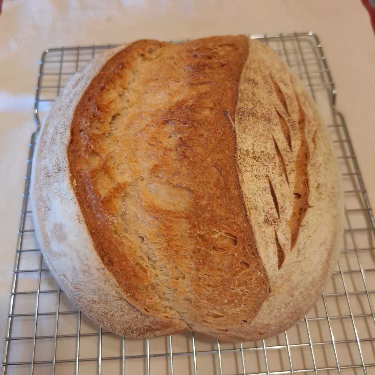 elbaranda's tweet image. Habemus pan!🥖
Recién sacado del horno 😉
Sémola, fuerza de trigo e integral de centeno eco de @elamasadero
18h de segundo levado a 5⁰.

#yopanarra 
#pancasero 
#pandeverdad