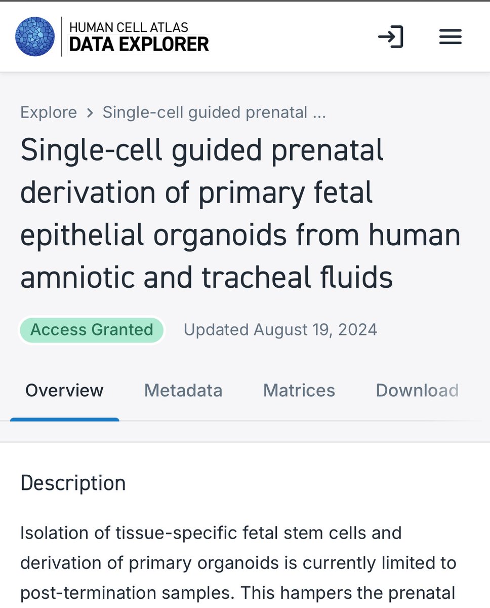 Mattia FM Gerli, PhD (@gerlilab) on Twitter photo Our data on the Amniotic Fluid are finally available on the <a href="/humancellatlas/">Human Cell Atlas</a> just in time for the #hca2024gm
Come chat about it at the coffee break! Our data on the Amniotic Fluid are finally available on the <a href="/humancellatlas/">Human Cell Atlas</a> just in time for the #hca2024gm
Come chat about it at the coffee break!