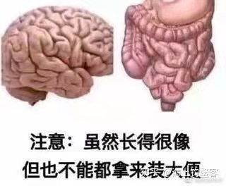 铃乃超可爱 tweet media