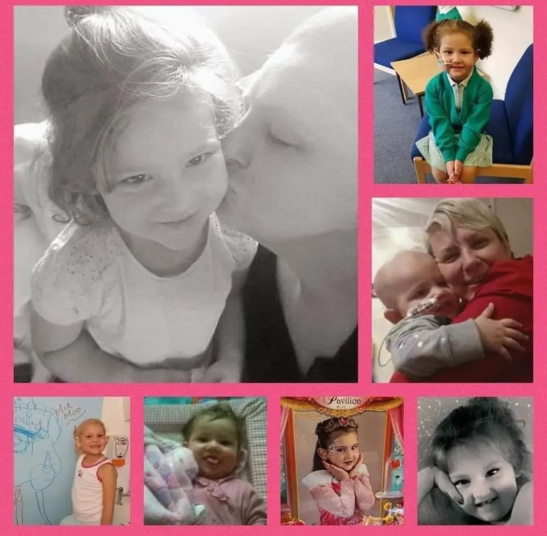 Chris Phipps tweet media