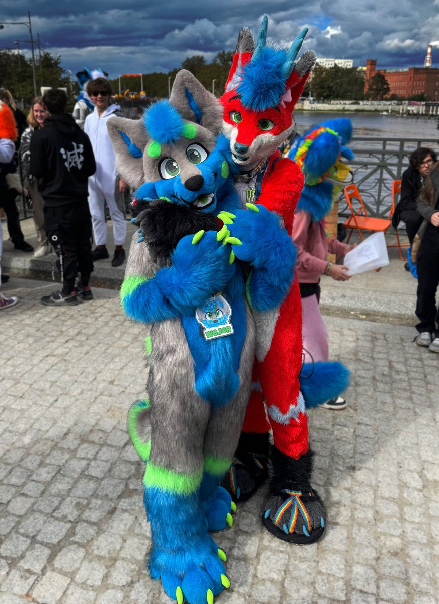 I found this fox yesterday, should I take him home?