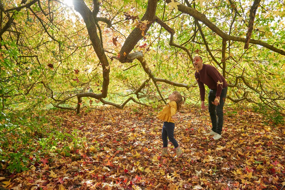 RHS_Rosemoor's tweet image. 👻 Our next monthly Welly Walk for children 5 years or under on Mon 14 Oct is all about potions &amp;amp; broomsticks: use leaves &amp;amp; petals to make a potion &amp;amp; sticks to make a broomstick

Booking essential here rhs.org.uk/shows-events/v…

#AutumnFun #VisitDevon #VisitExeter @ExmoorMagazine