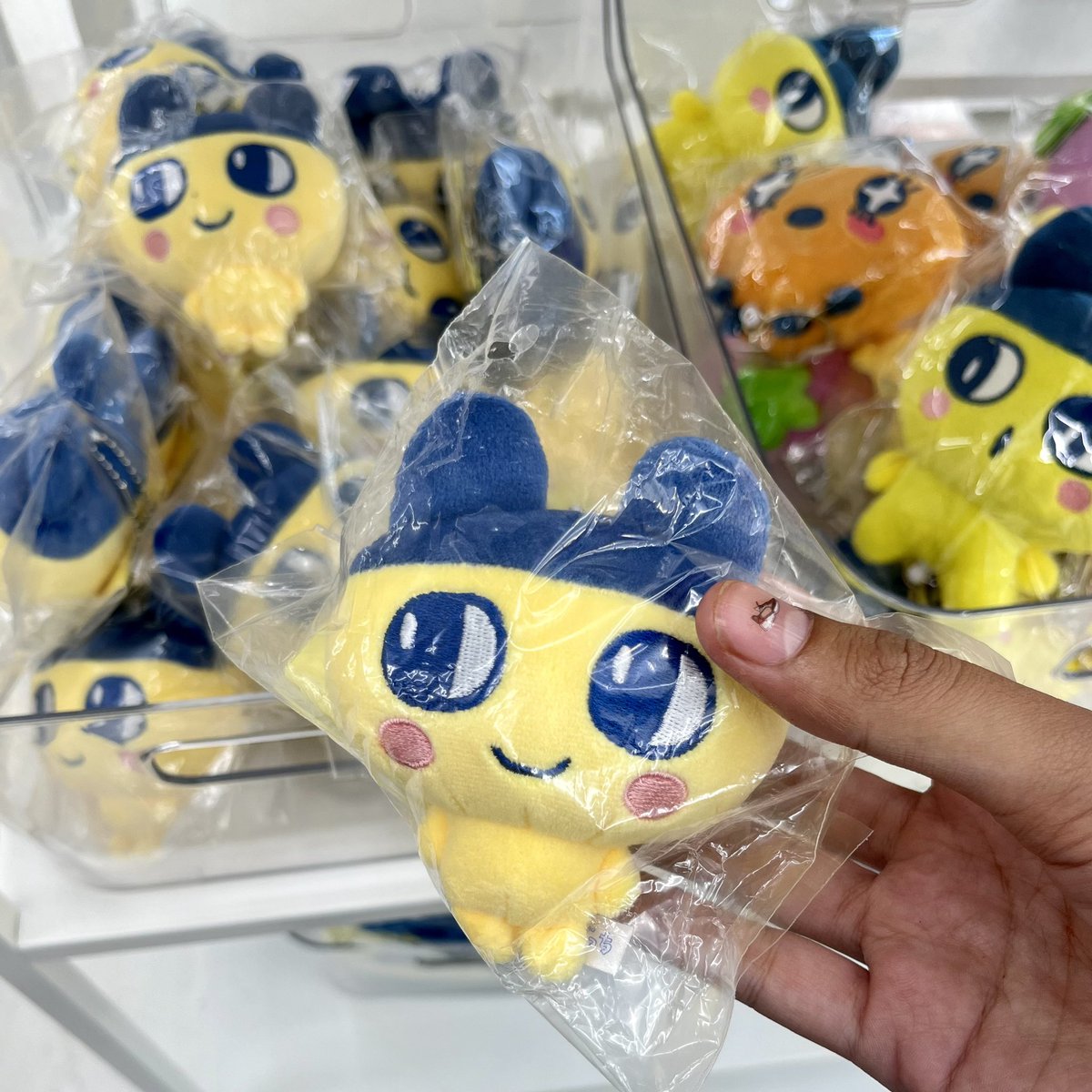 donmizit's tweet photo. open pre order jastip tamagotchi 🇰🇷

🛒inc est shipping tax
💢exc packing &amp; admin

📅pre-order close 11/10 
—— ᯓᡣ𐭩

💌order via line/dm (go available)
📦 pelunasan via (🍊) —from jakarta

t: wts wtb mametchi plush keychain bag charm tamagotchi character https://t.co/gwzG65aI9x