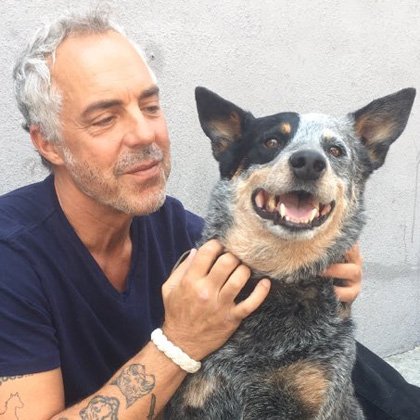 Bosch: Legacy TV Fansite (@boschtvfansite) on Twitter photo 🙏🙏🙏🙏🙏🙏 Please <a href="/JSalke/">Jennifer Salke</a> <a href="/Sandersshortess/">Vernon Sanders</a> <a href="/JeffBezos/">Jeff Bezos</a> <a href="/PrimeVideo/">Prime Video</a> <a href="/AmazonFreevee/">Amazon Freevee</a> : #SaveBoschLegacy #FinishItRight
If you don't want to do it for <a href="/welliver_titus/">TitusWelliver</a> <a href="/madison_lintz/">Madison Lintz</a> or <a href="/mimirogers/">Mimi Rogers</a> then do it for Coltrane!! #GoodBoy
Sign our Petition 🔗 chng.it/SsCncxhwSH 🙏🙏🙏🙏🙏🙏 Please <a href="/JSalke/">Jennifer Salke</a> <a href="/Sandersshortess/">Vernon Sanders</a> <a href="/JeffBezos/">Jeff Bezos</a> <a href="/PrimeVideo/">Prime Video</a> <a href="/AmazonFreevee/">Amazon Freevee</a> : #SaveBoschLegacy #FinishItRight
If you don't want to do it for <a href="/welliver_titus/">TitusWelliver</a> <a href="/madison_lintz/">Madison Lintz</a> or <a href="/mimirogers/">Mimi Rogers</a> then do it for Coltrane!! #GoodBoy
Sign our Petition 🔗 chng.it/SsCncxhwSH