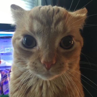 need markfs to lock the fuck in for february 2025. at least FIVE million sales. A BILLION views in three days. enter the top 3 on every chart. TWENTY million spotify streams.