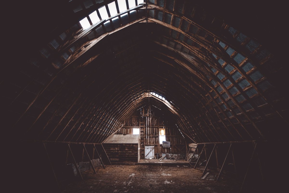 His wife was out; the kids were at grandpa’s and so he decided to clean up the old attic. It was pure chaos up there. Dust and spiderwebs everywhere.

“This is going to take a while,” he said with a sigh.

“No, it will be over quickly,” a deep voice sounded from behind.

#vss365