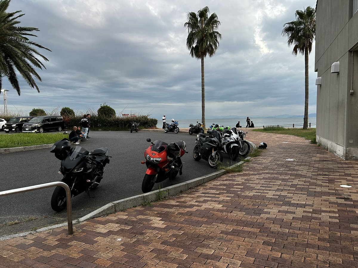 tk_gspk's tweet image. めっちゃおる