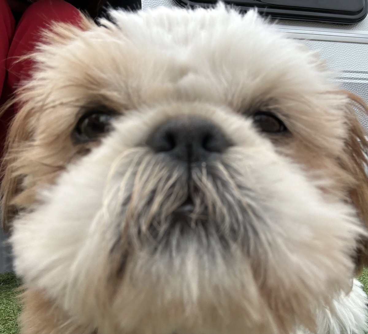 Gaboumme tweet media