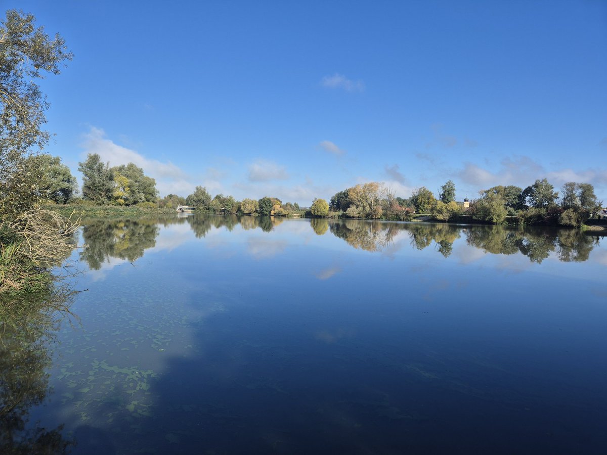 Wunderbarer Herbstmorgen am Altmühlsee. Heute LBV Vogelinselfest.  Ganzen Tag Vogelbeobachtung mit Gleichgesinnten. Ein Sonntag zum Aufladen der eigenen Batterien! Tut gut!