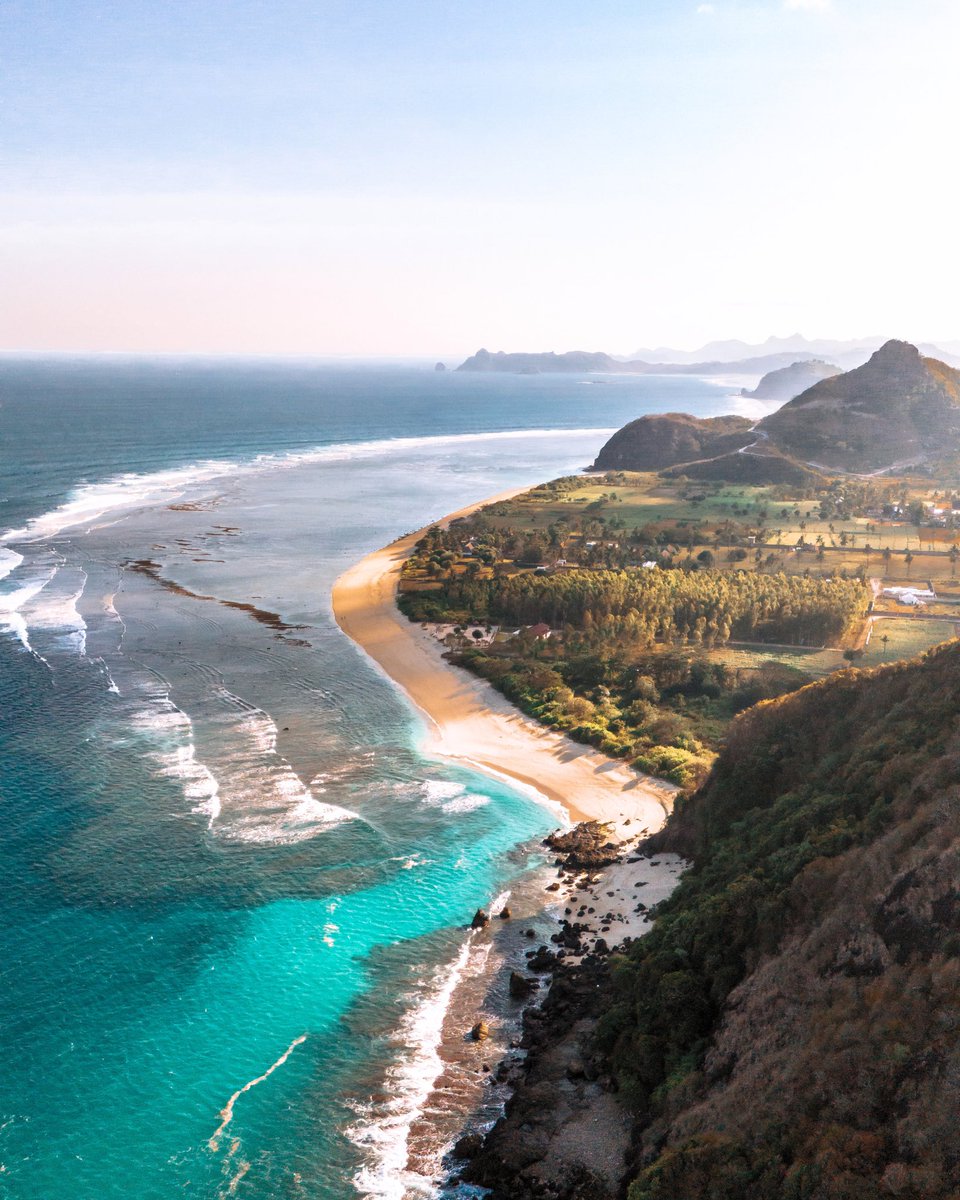 Simóne and Vernon tweet media