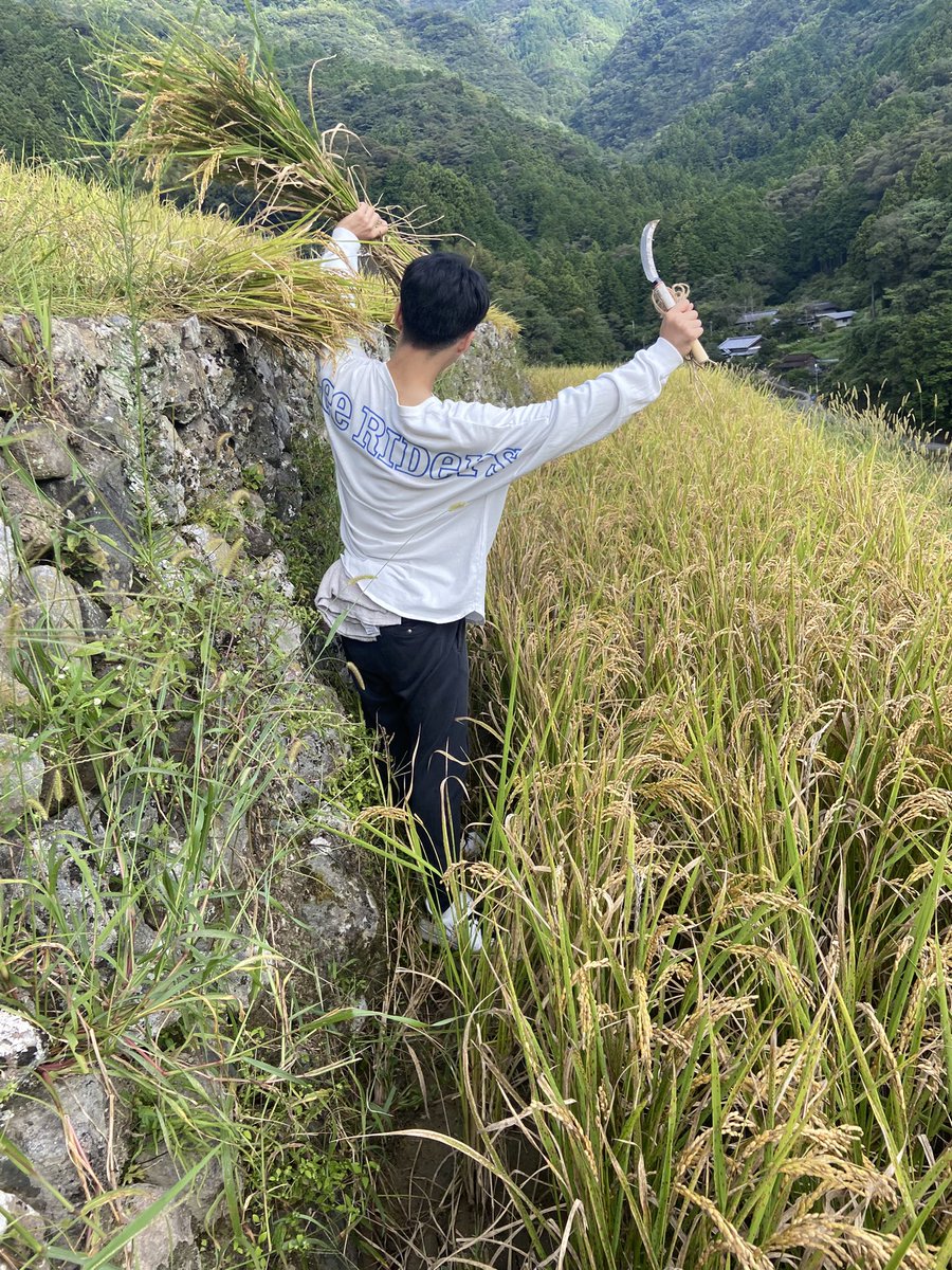 Sunfes_Kochi's tweet photo. Sun-fesです!
日頃からお世話になっている津野町貝ノ川の方々と共に稲刈りをしてきました!
地域の方々に色々教えてもらいながら、無事に作業を終えることができました😊
#sunfes
#高知大学
#高知県立大学
#高知工科大学 https://t.co/luN63qRN25