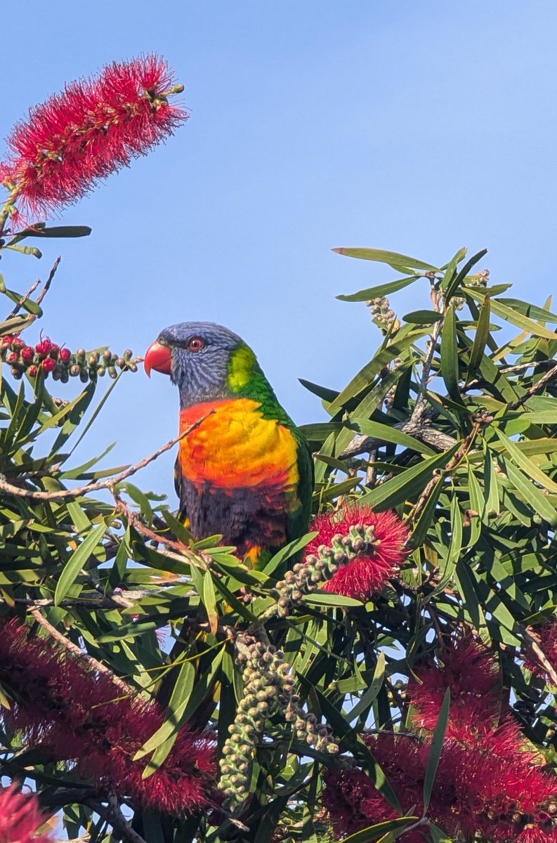 UrbanLights tweet media