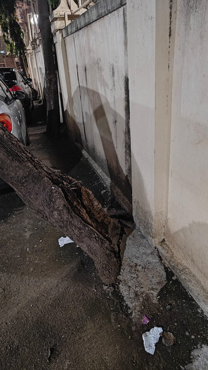 Amina Apts,

Nxt to United Arch, 
Opp Iqbal Heights, 
Agripada 
Nr YMCA Maidan 

Tree leaning dangerously 

Pls take action before any unfortunate incident.
