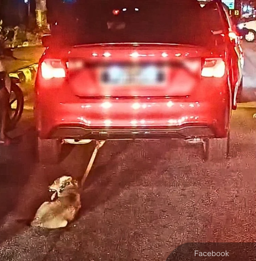 NewsBFM's tweet photo. PDRM confirmed an incident where a man was filmed driving with a dog tied to the rear of his car in Penang.

According to Seberang Prai Tengah police, the driver claimed he was unaware until a motorist alerted him at a traffic light on Jalan Kulim around 8 p.m. yesterday.

🧵1 https://t.co/wh8F0N0i3U