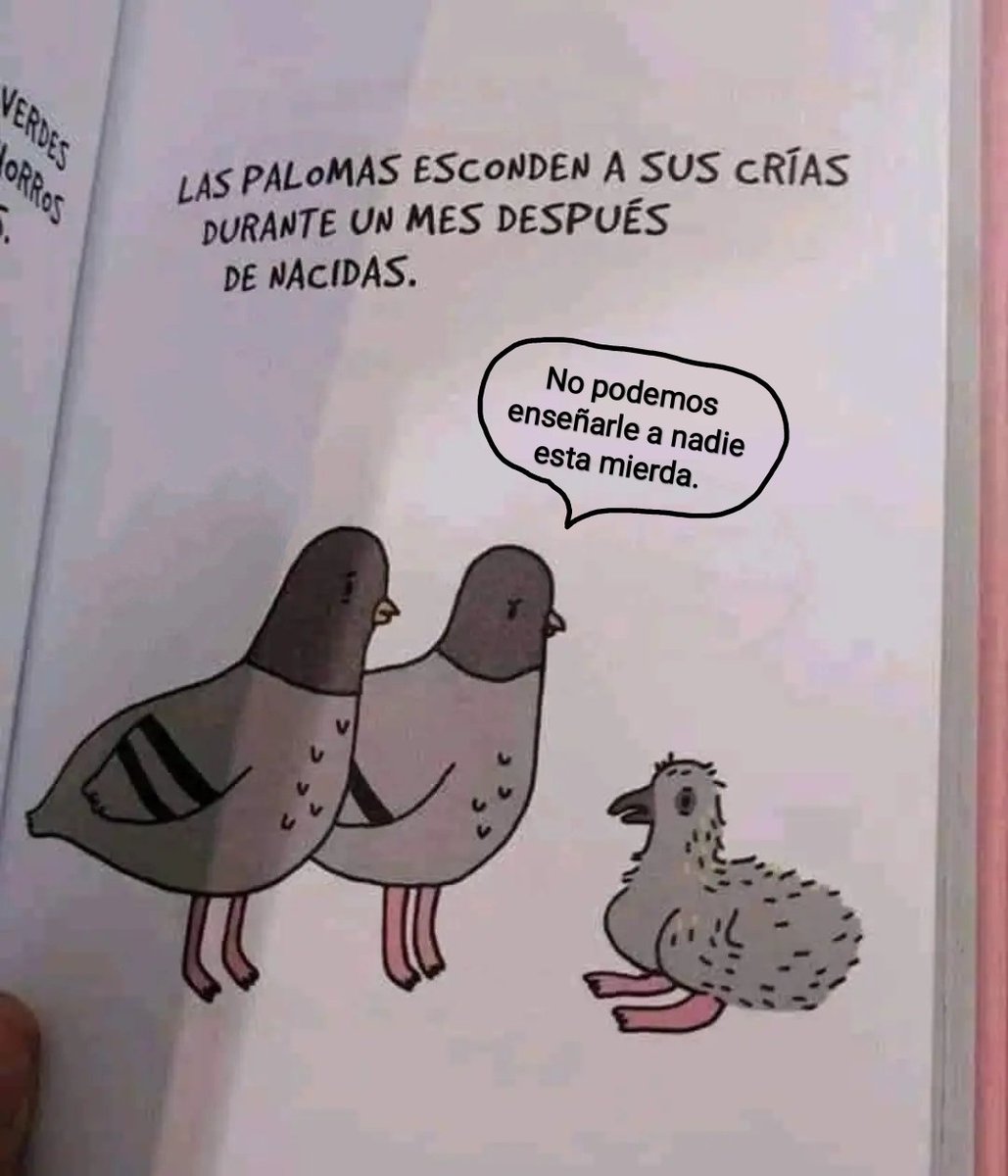 Sabias que...