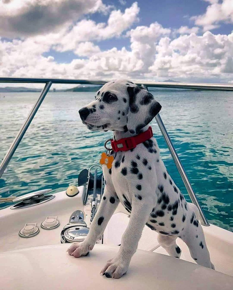 Özgürlük için gökyüzünü satın almanıza gerek yok. Ruhunuzu satmayın yeter.

√ Nelson Mandela