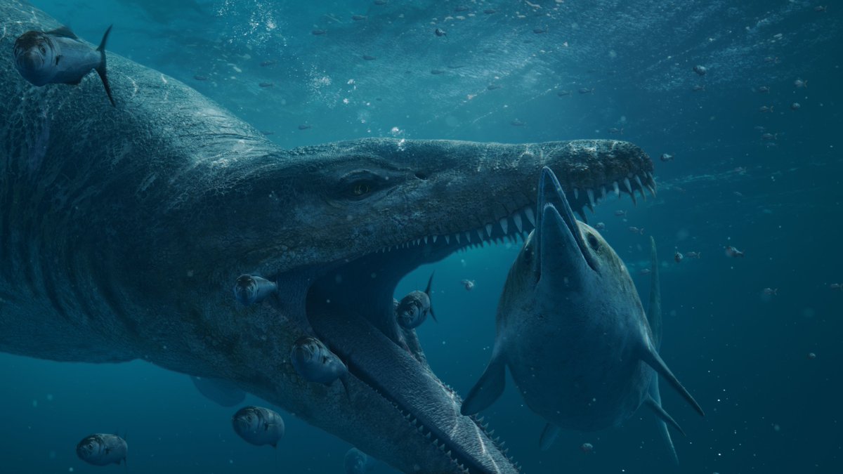 raftingzalmoxes's tweet photo. #AttenboroughAndTheGiantSeaMonster #GiantScreenFilmsTRex #MegafaunaABC
Though many promising paleo docus are announced this year, so far 2024 itself doesn't seem to be a very fruitful year in terms of paleo docus...
These appear to be all that we got... https://t.co/9rMafGCyNL