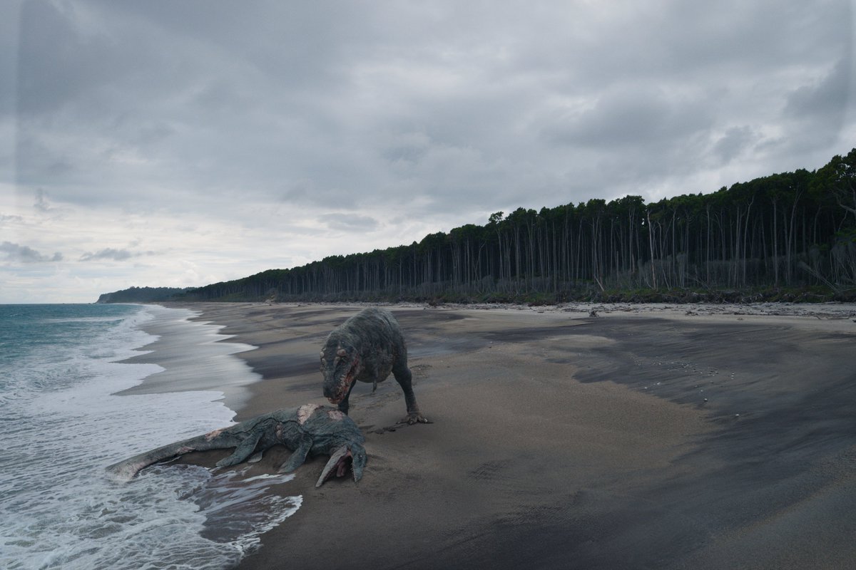 raftingzalmoxes's tweet photo. #AttenboroughAndTheGiantSeaMonster #GiantScreenFilmsTRex #MegafaunaABC
Though many promising paleo docus are announced this year, so far 2024 itself doesn't seem to be a very fruitful year in terms of paleo docus...
These appear to be all that we got... https://t.co/9rMafGCyNL