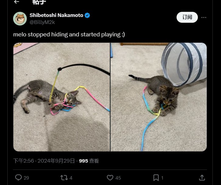 GiGi 發財豬 tweet media