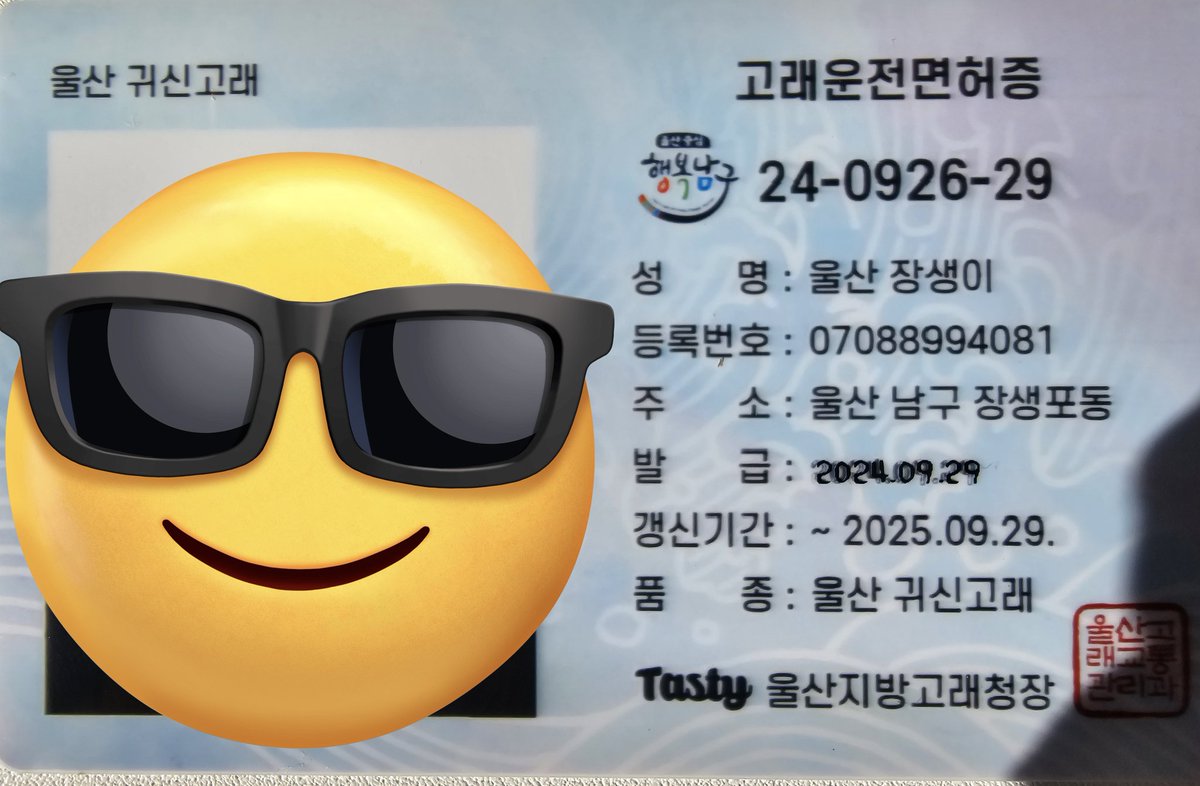 umu_081's tweet photo. -울산함
6시면 마감입니다ㅠㅠ가려면 일찍가야됨 안엔 못들어가고 밖에서만 찍었어요
-고래면허증체험
체험거리중 하나였는데 전 귀신고래 면허따고 왔답니다😆✌️
-먹거리
모듬튀김(12000) 막창(9000) 생맥(3000?)이였고 축제 물가생각해도 가격 괜찮고 맛도 있었음 https://t.co/zN4AXvPpak