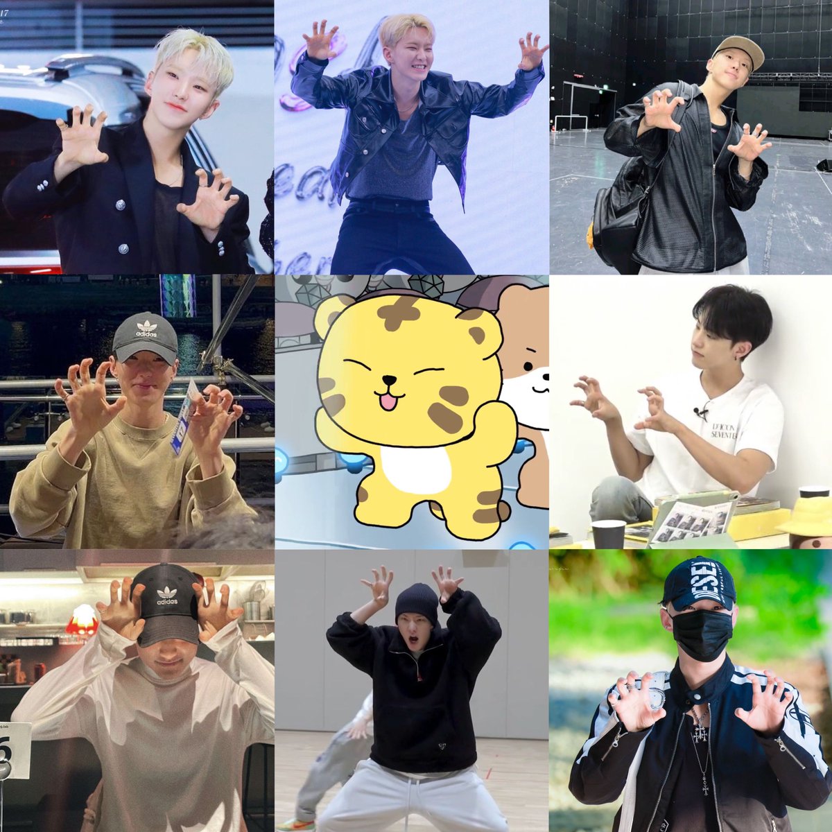 TAMTAM (or hoshi) ? 🤭