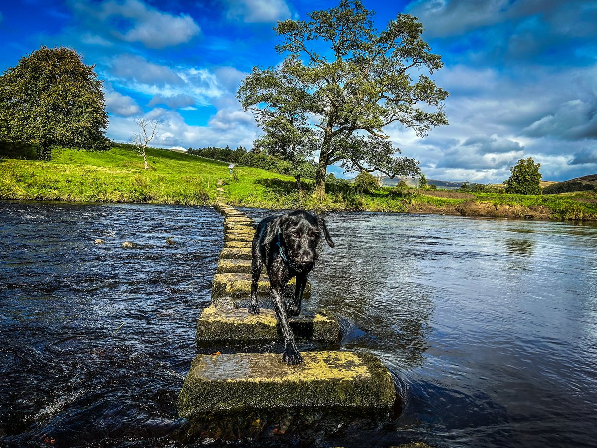 Mike Baker 💙 tweet media